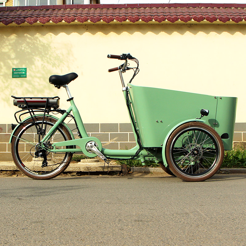 family-cargobike