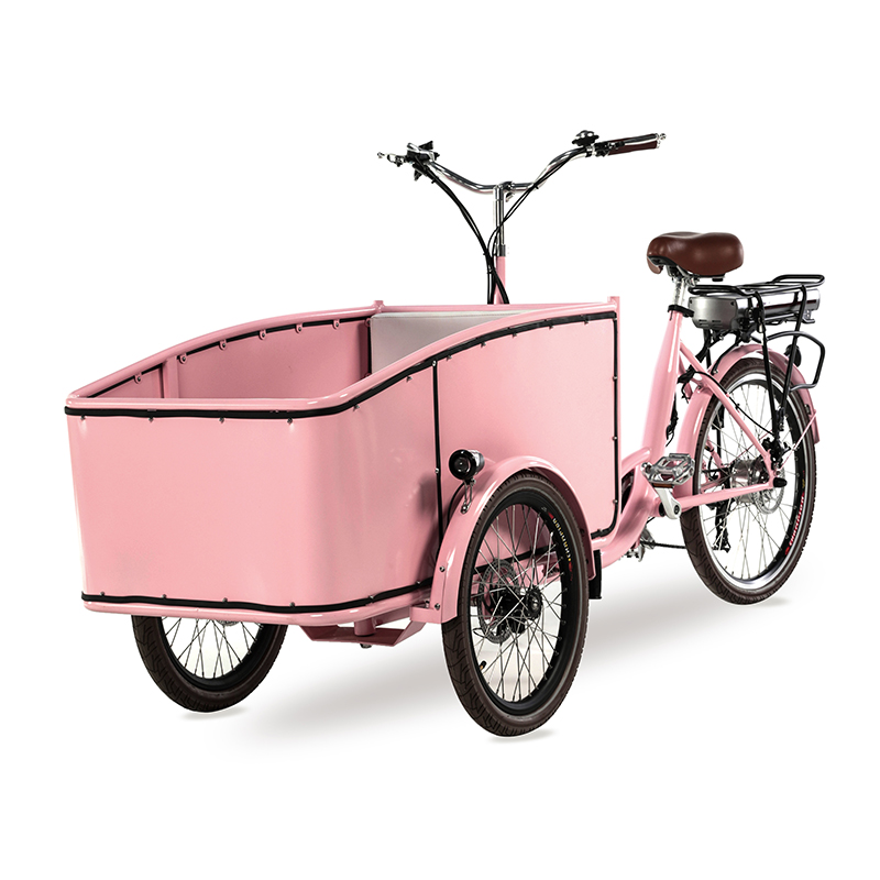 3 Wheels Electric Cargo Bike in Light Green for 4 Passengers Family Cargobike