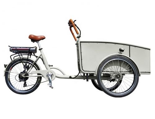 Electric Cargo Bike Tricycle 3 Wheel Electric for Kids Eu Hot Sale 3 Wheel Electric Family Cargo Bike Tricycle