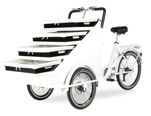 Hand in Hand High Capacity Family Cheap 3 Wheel Electric Pickup Truck Food Cargo Vending Bike