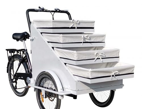 Hot Sale 3 Wheel Cart with Basket for Vegetables