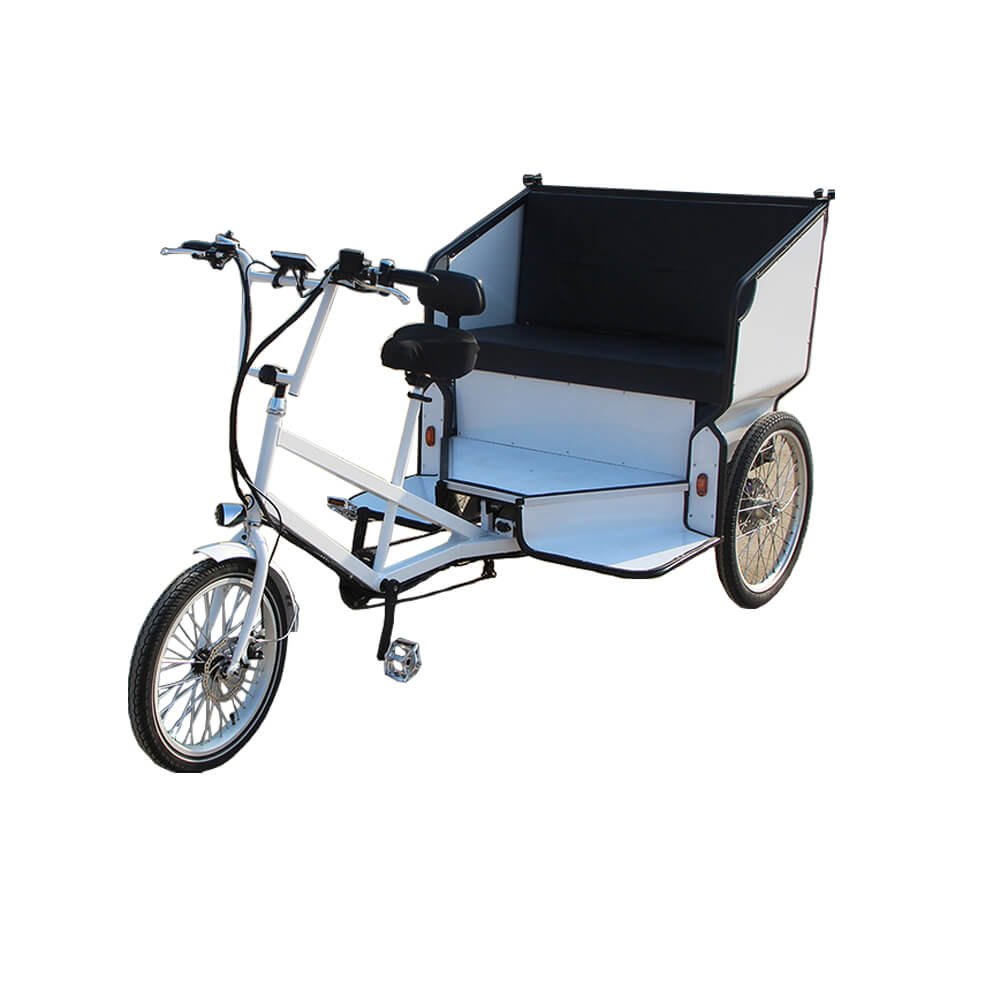 family-cargobike