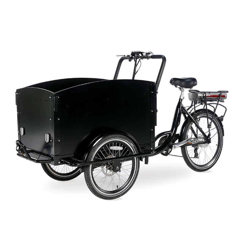 family-cargobike
