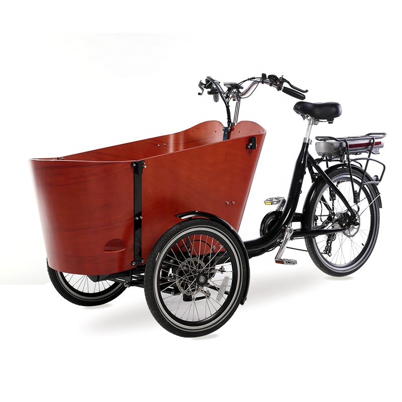 family-cargobike