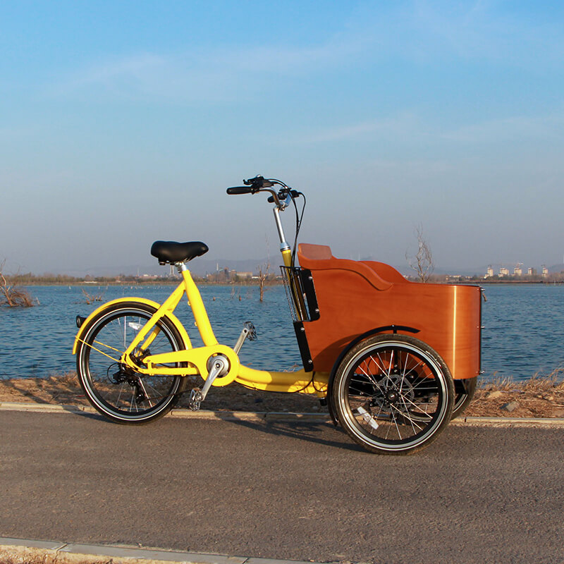 family-cargobike