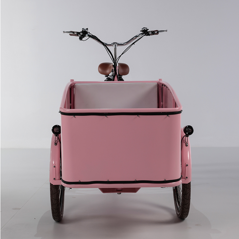 family-cargobike
