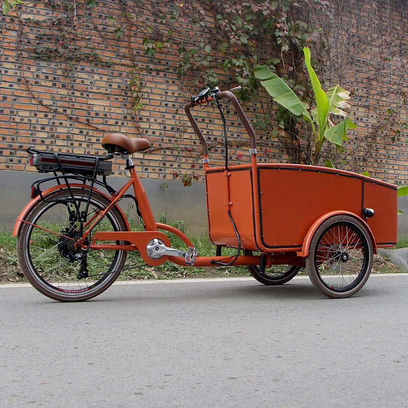 family-cargobike