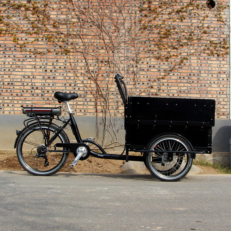 family-cargobike