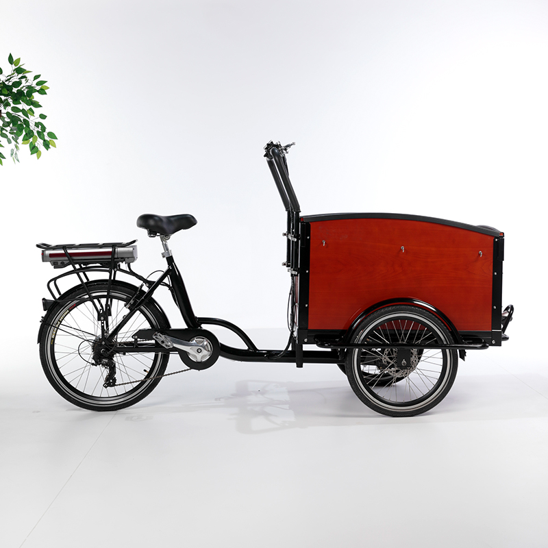 family-cargobike
