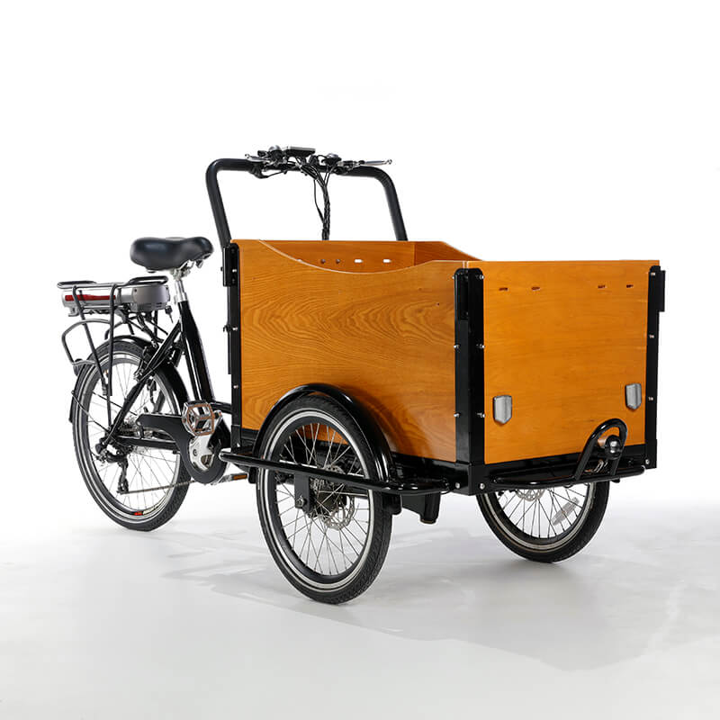 family-cargobike