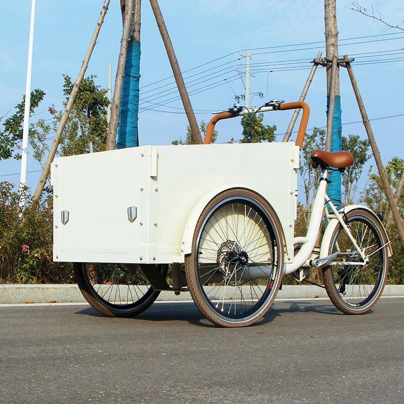 family-cargobike