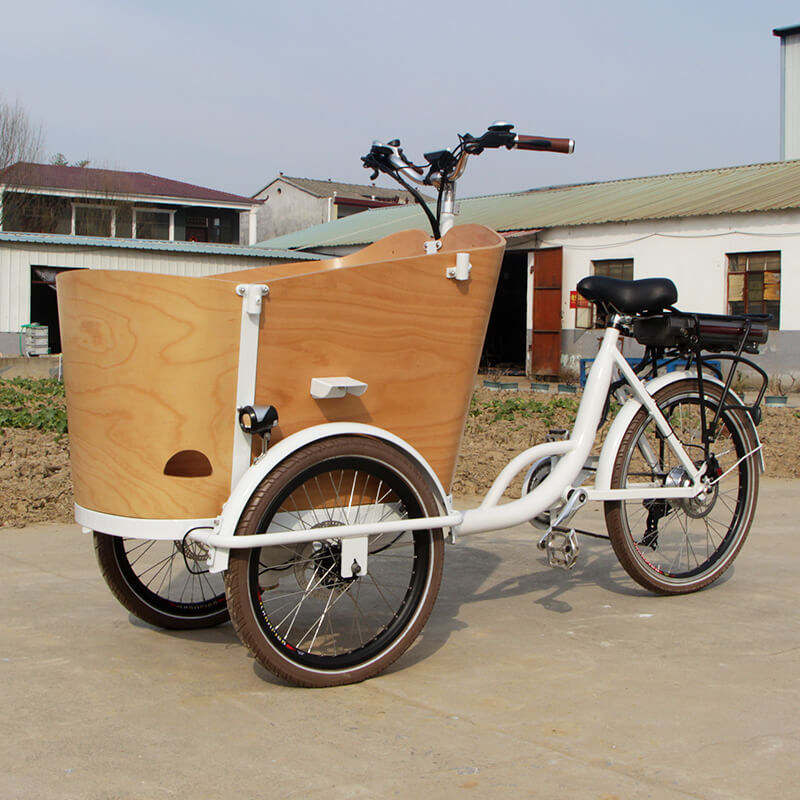 family-cargobike