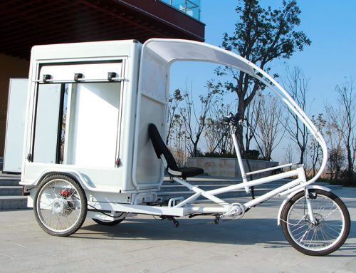 Cheaper Strong power 60V 1000W electric tricycle cargo