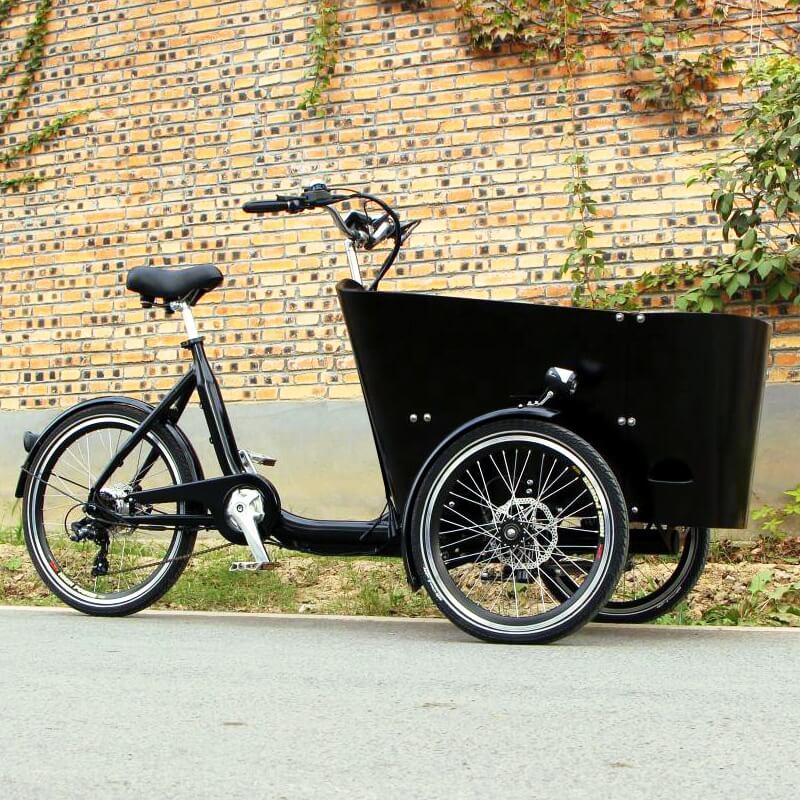 family-cargobike