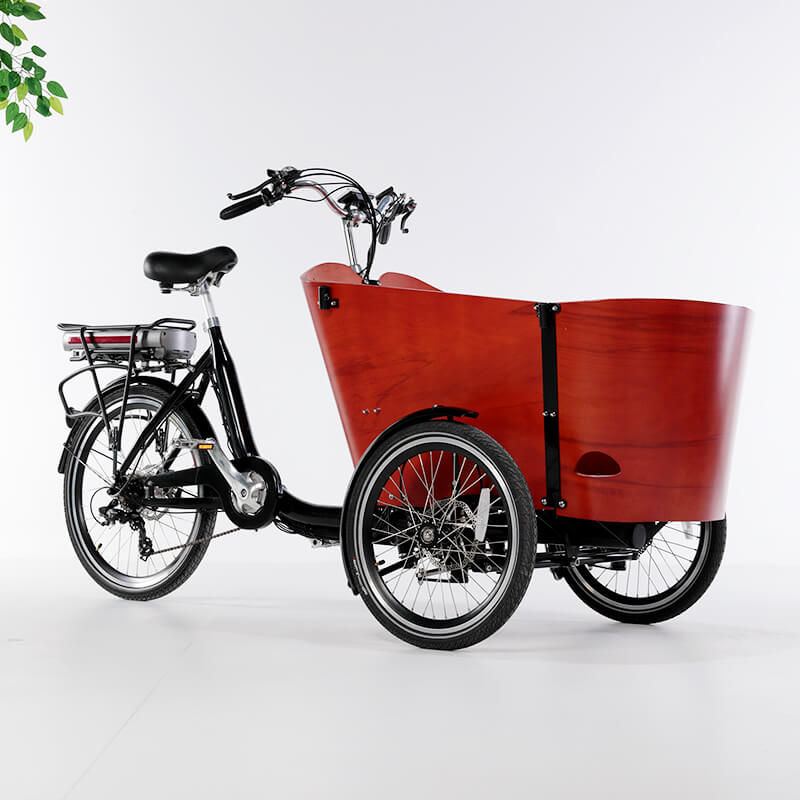 family-cargobike