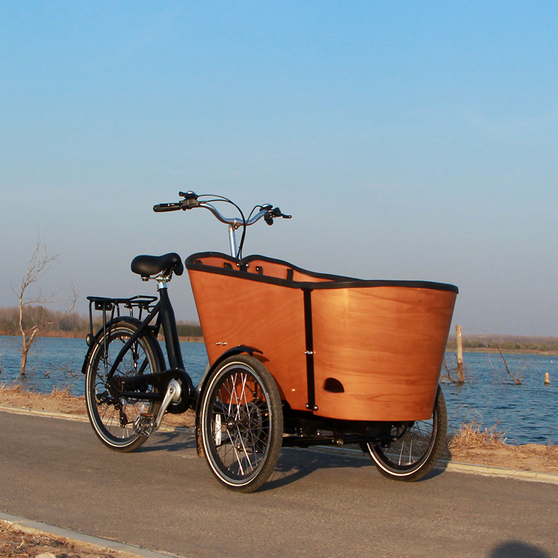 family-cargobike