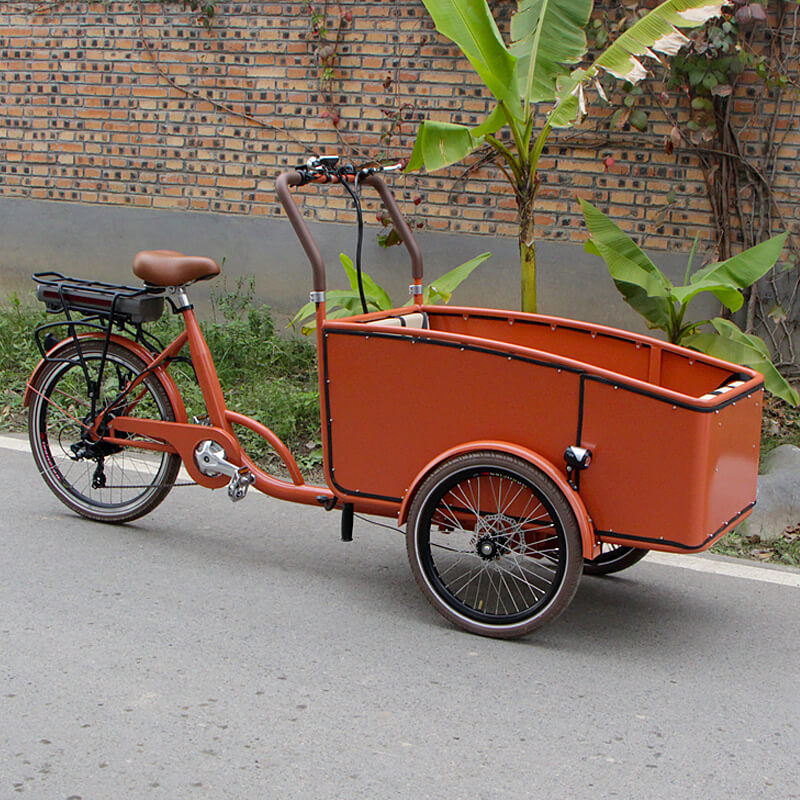 2022 New Design 3 Wheels Cargo Bike Electric Tricycle Adult Tricycle