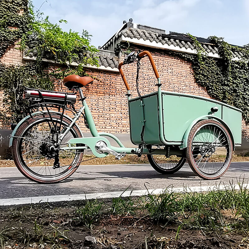 family-cargobike