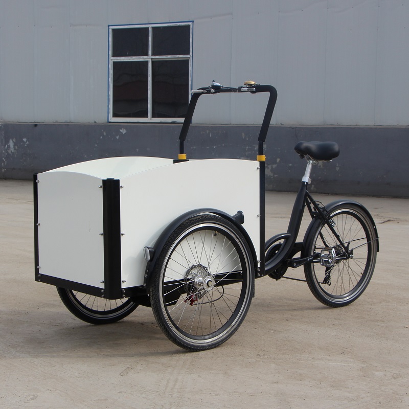 New Style Electric 3 Wheel Cargo Bike Electric Family Cargo Tricycle Electric Bicycle on Sale