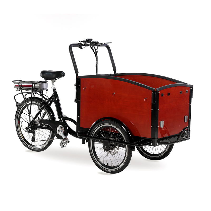 family-cargobike