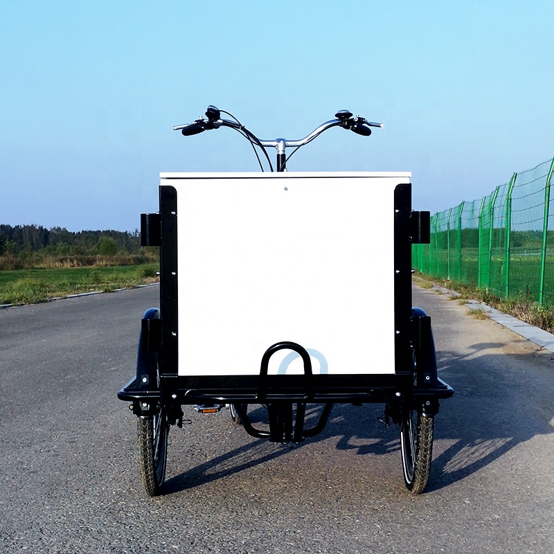 family-cargobike