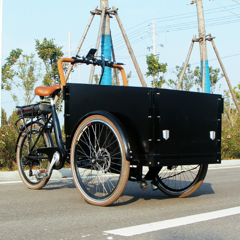 family-cargobike
