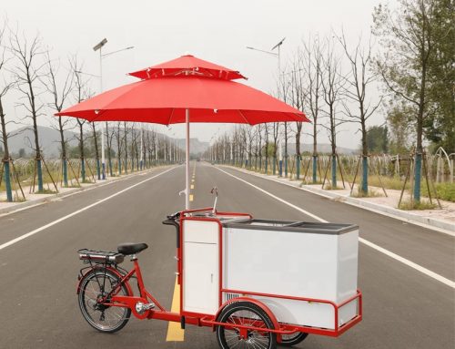 Factory Supply Ice Cream Bike Electric Freezer Cooler Trike Cargo Tricycle with Umbrella