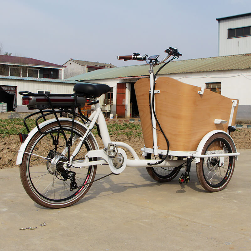 family-cargobike