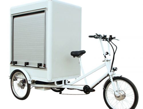 Electric Bicycle Cargo Bike Adults Electric Tricycle