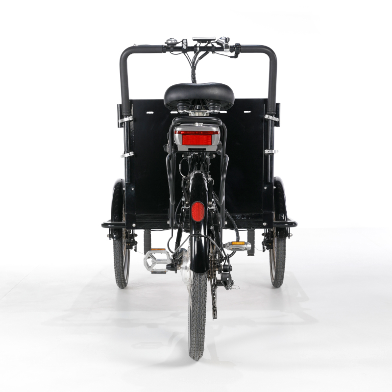 family-cargobike