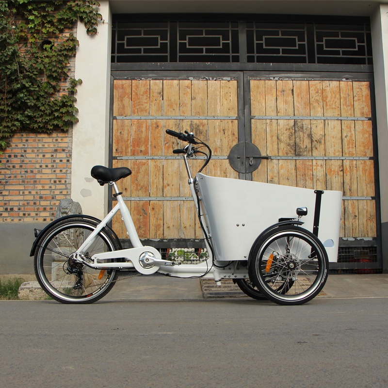 family-cargobike