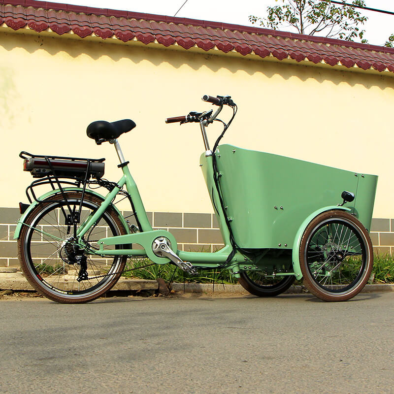 family-cargobike