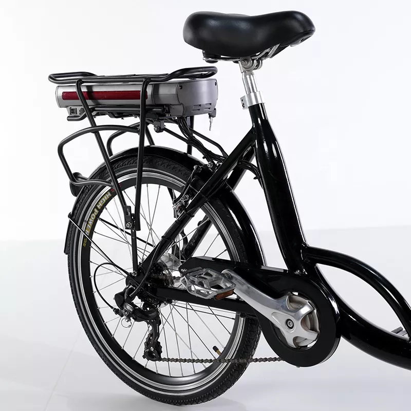 family-cargobike