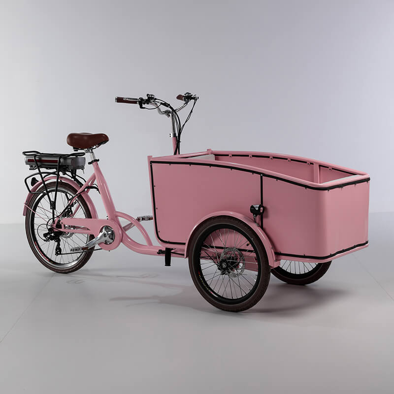family-cargobike