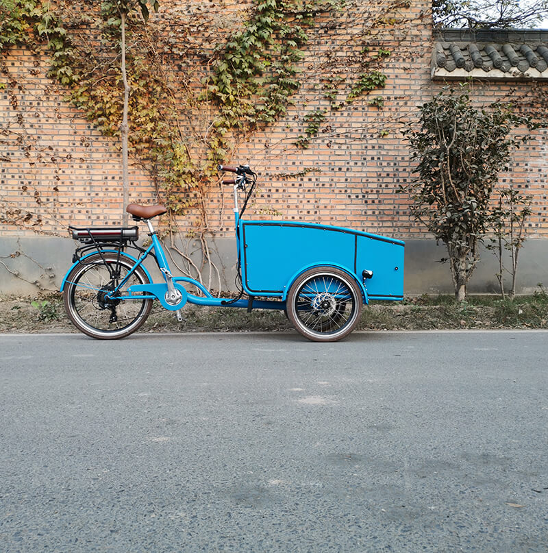 family-cargobike