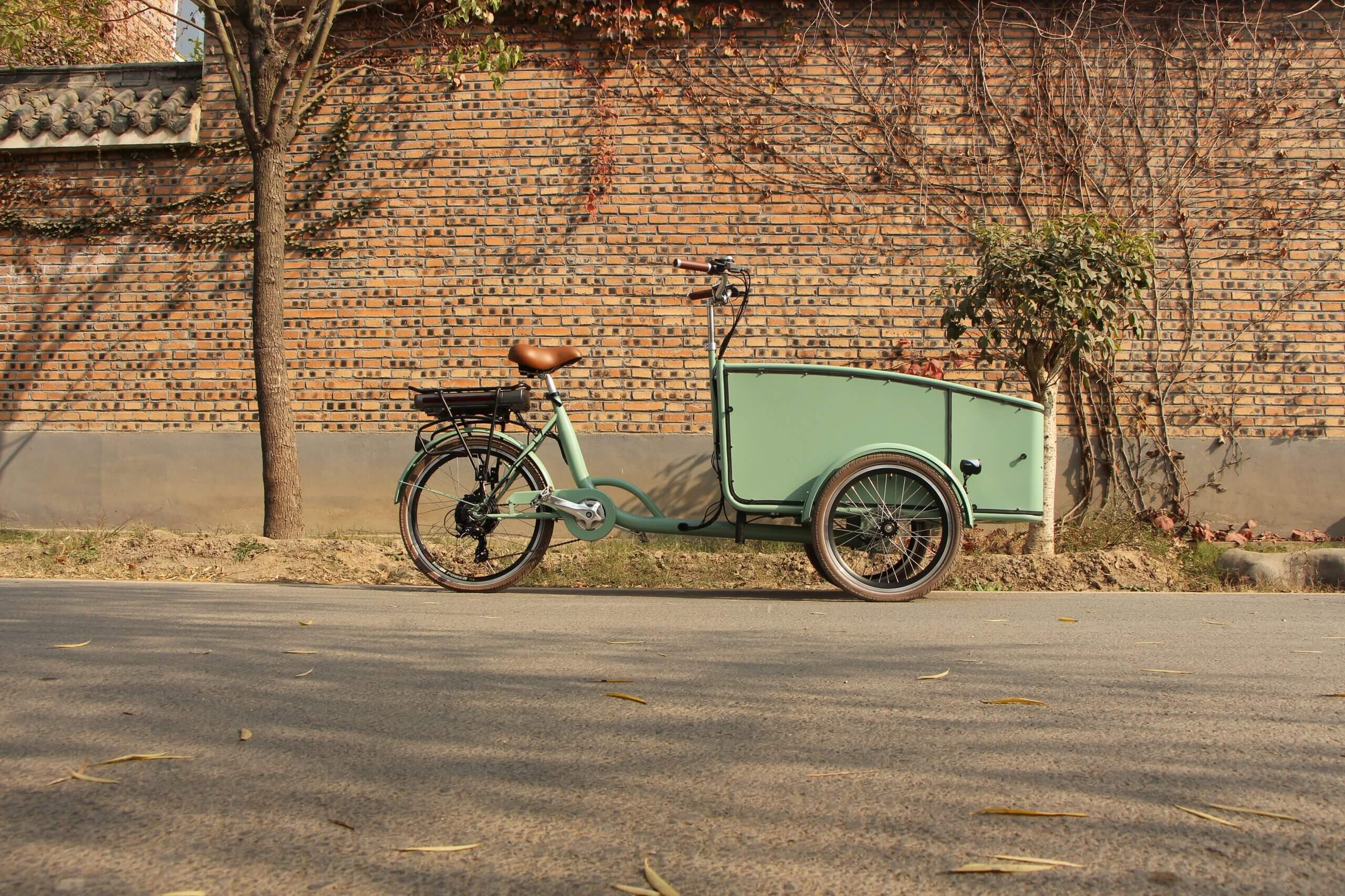 family-cargobike