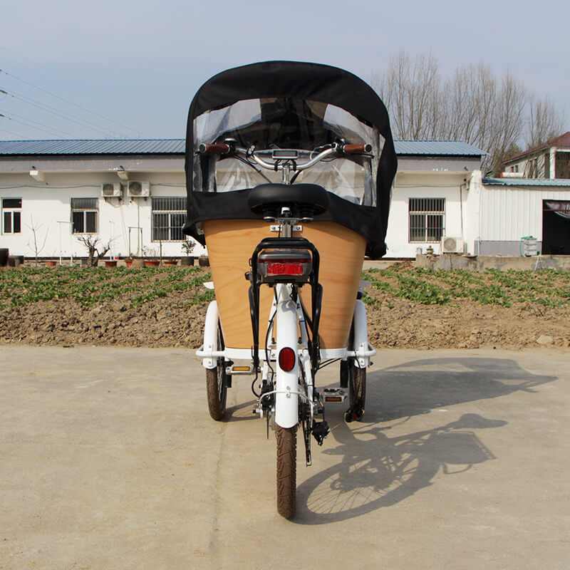 family-cargobike