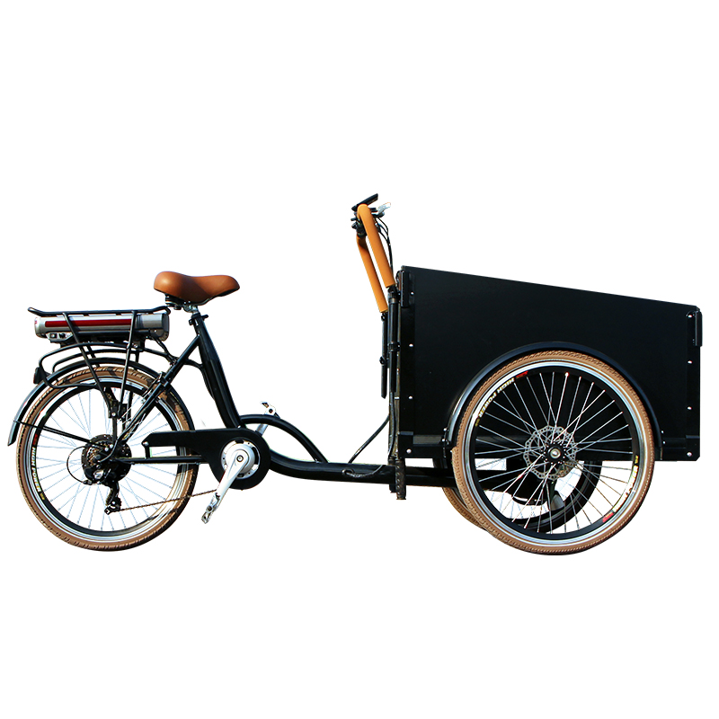 family-cargobike