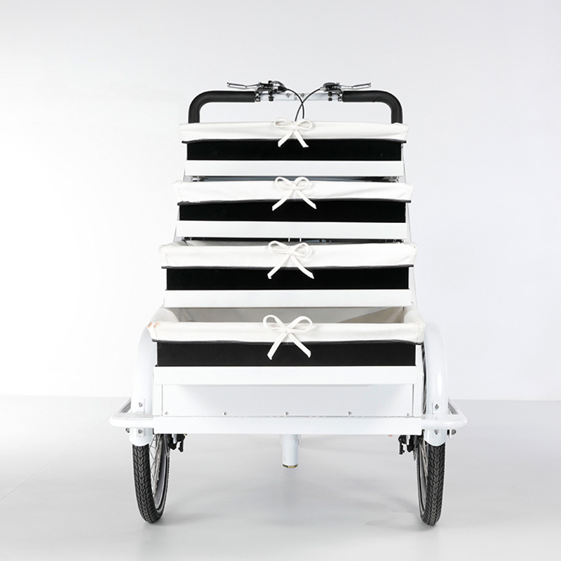 family-cargobike
