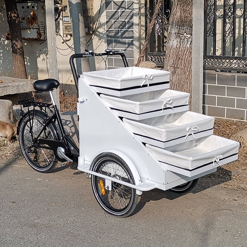 family-cargobike