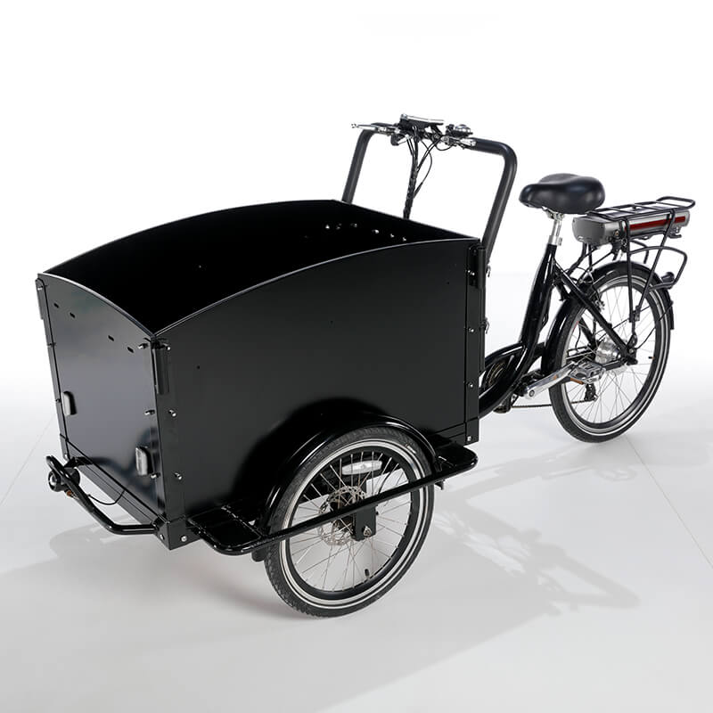 family-cargobike
