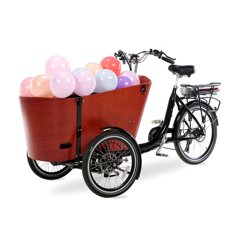 family-cargobike