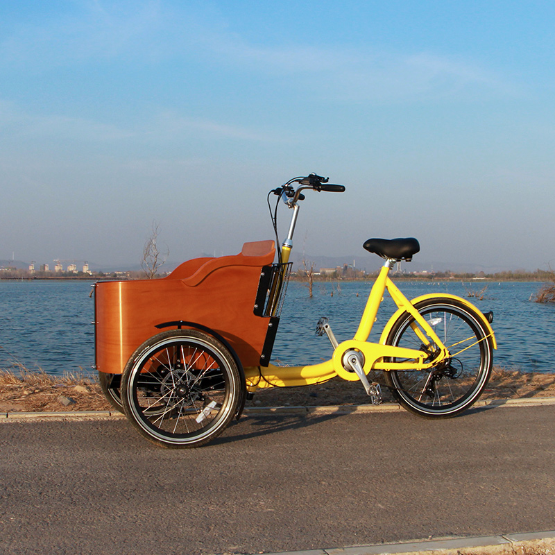 family-cargobike