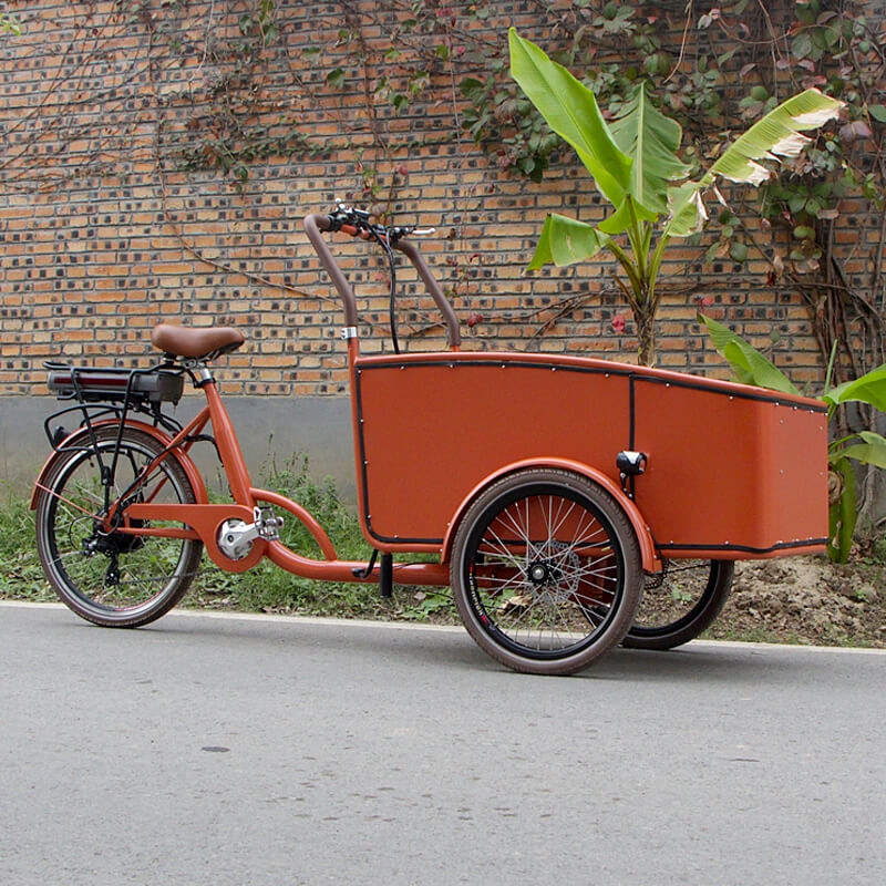 family-cargobike