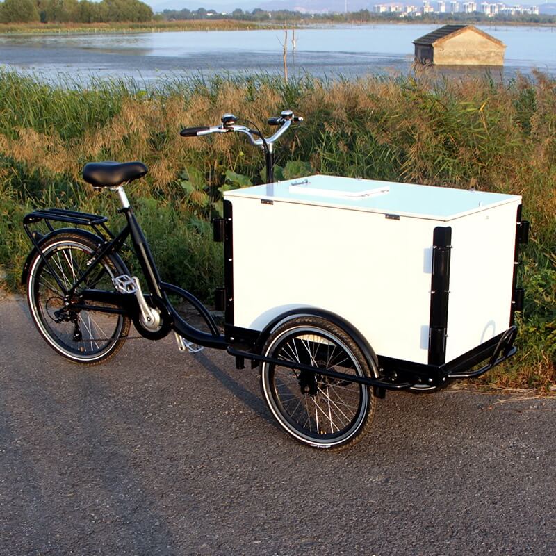family-cargobike