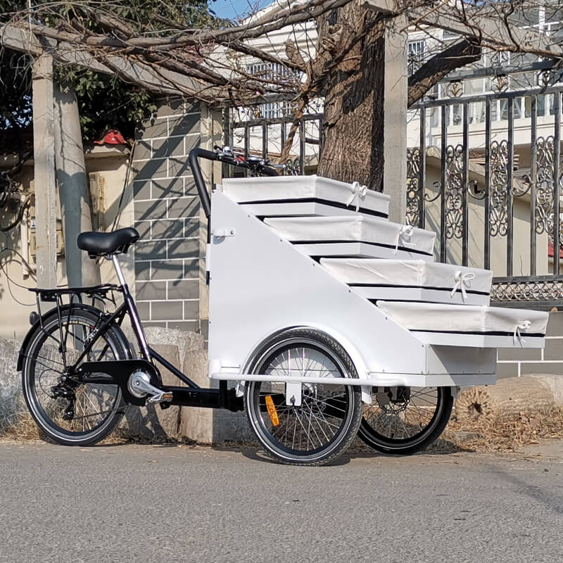family-cargobike