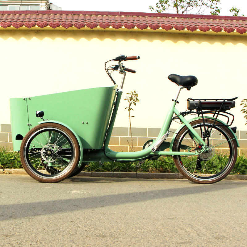 family-cargobike