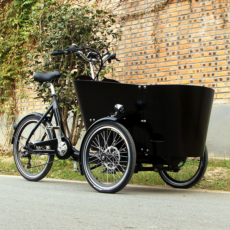 family-cargobike