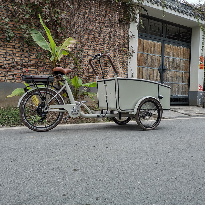 family-cargobike