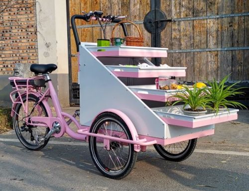 250w Dc Brushless Motor Electric Tricycle 3 Wheels Cargo Bike Dutch Bakfiets for 6 Cute Passenger